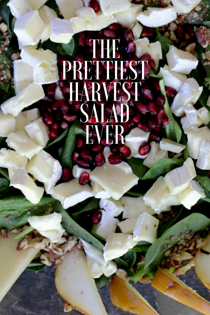 healthy holiday harvest salad