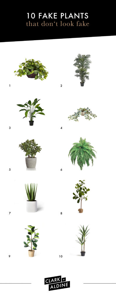 10 FAKE PLANTS THAT DON'T LOOK FAKE image 1